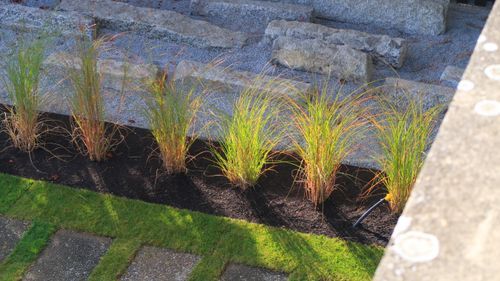 Sommer Garten Bepflanzung Anbau Gartenpflege Gartenbau Pflanzenschutz