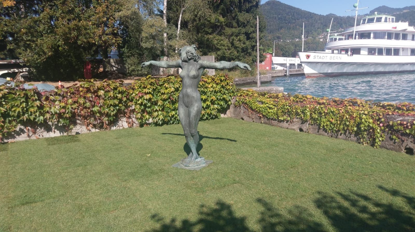 Galerie Rollrasen & Holzterrassen
