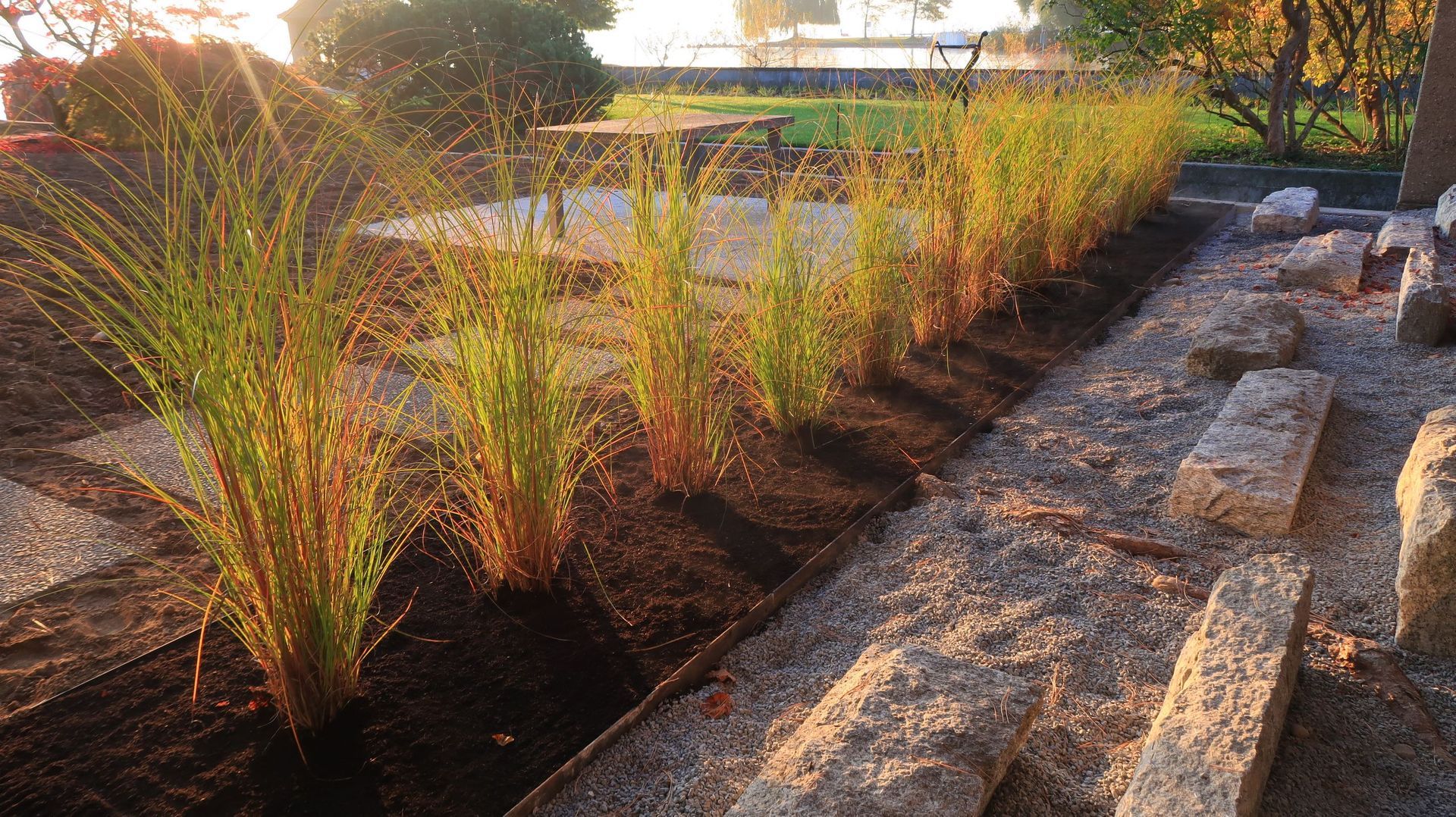 Galerie Rollrasen & Holzterrassen
