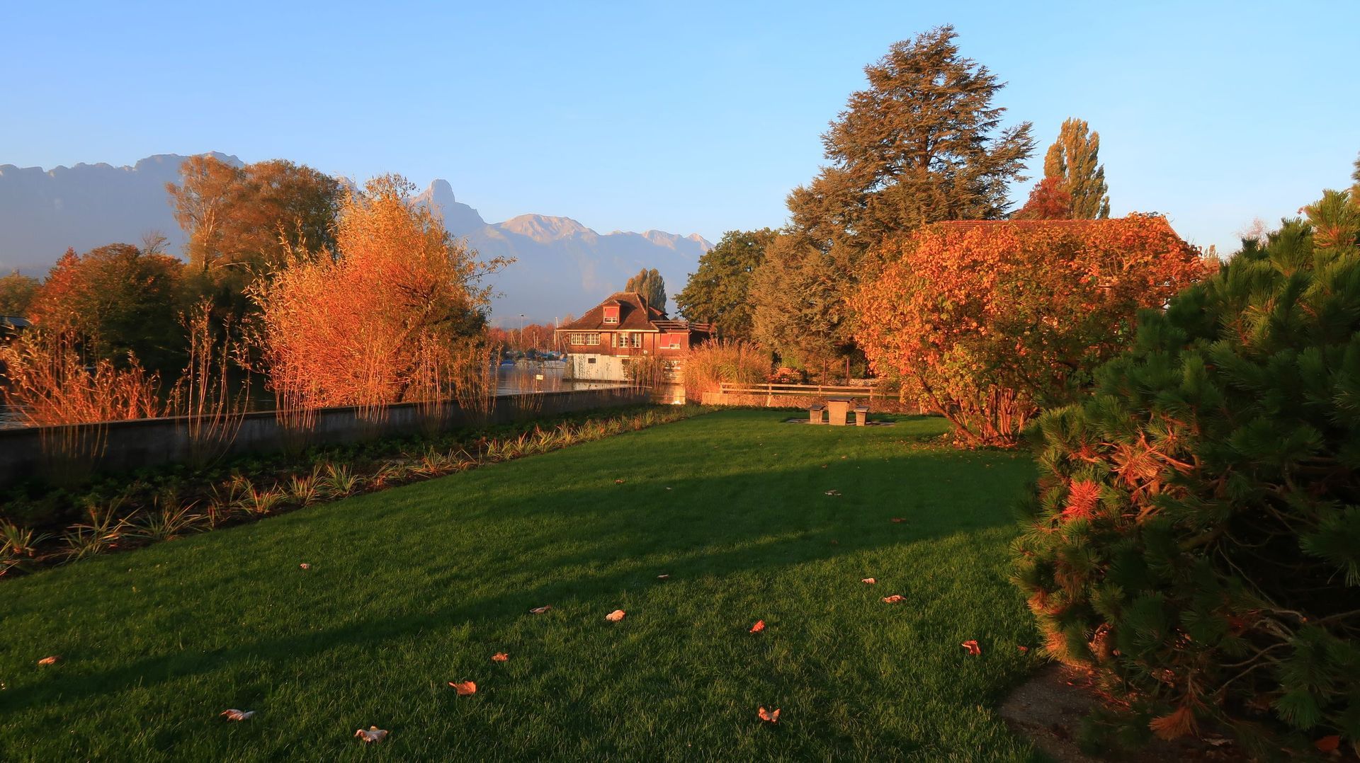 Galerie Rollrasen & Holzterrassen
