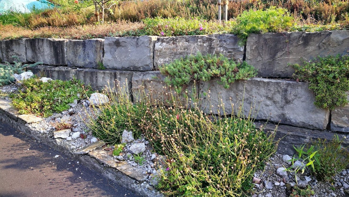 Heiniger's Gartenteam
