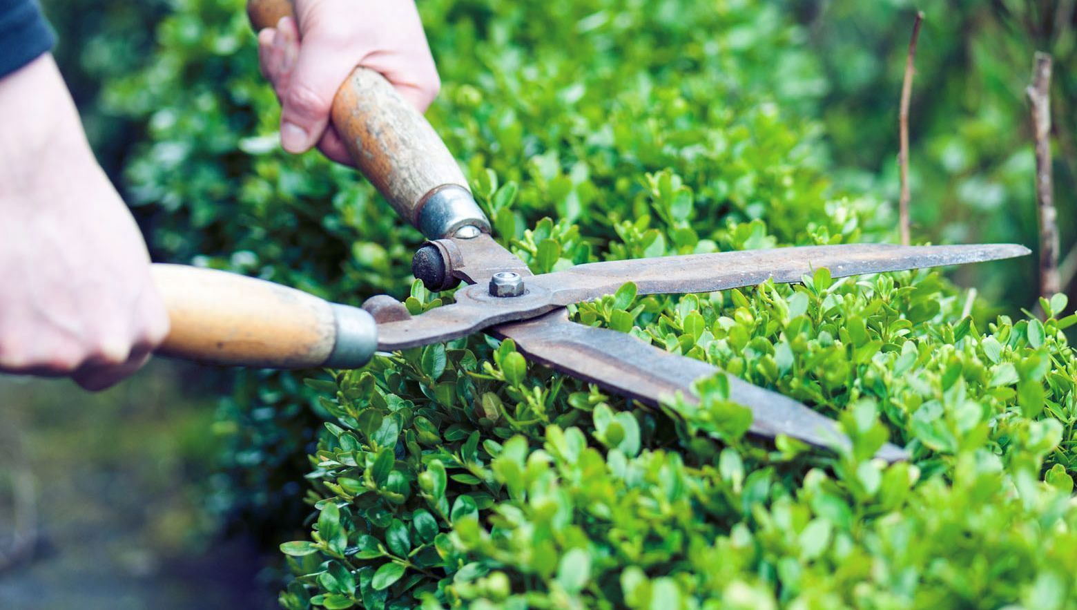 Heiniger's Gartenteam
