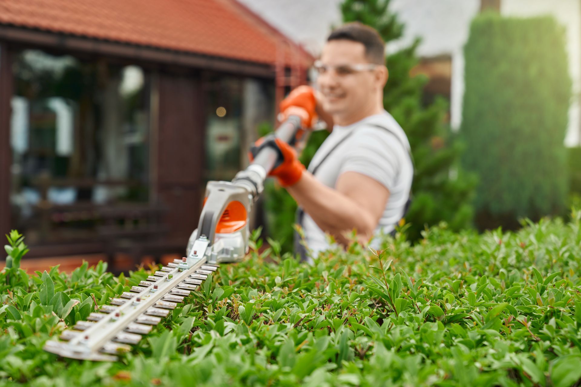 Eine Person stutzt vor ihrem Haus eine Hecke mit einem orange-grauen elektrischen Heckentrimmer.