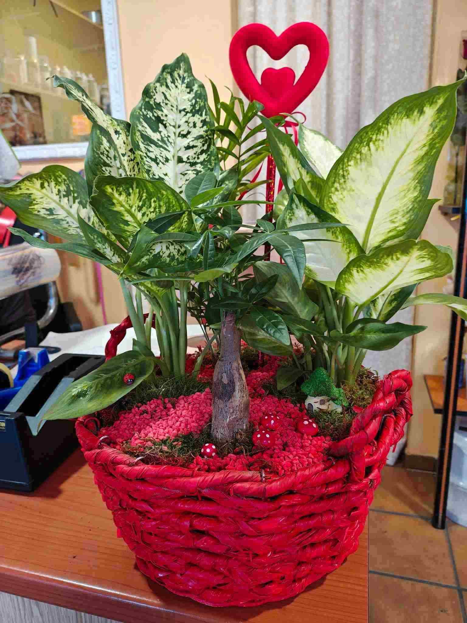Arreglo floral rojo en forma de corazón con hojas verdes variegadas en una cesta roja tejida sobre una mesa.