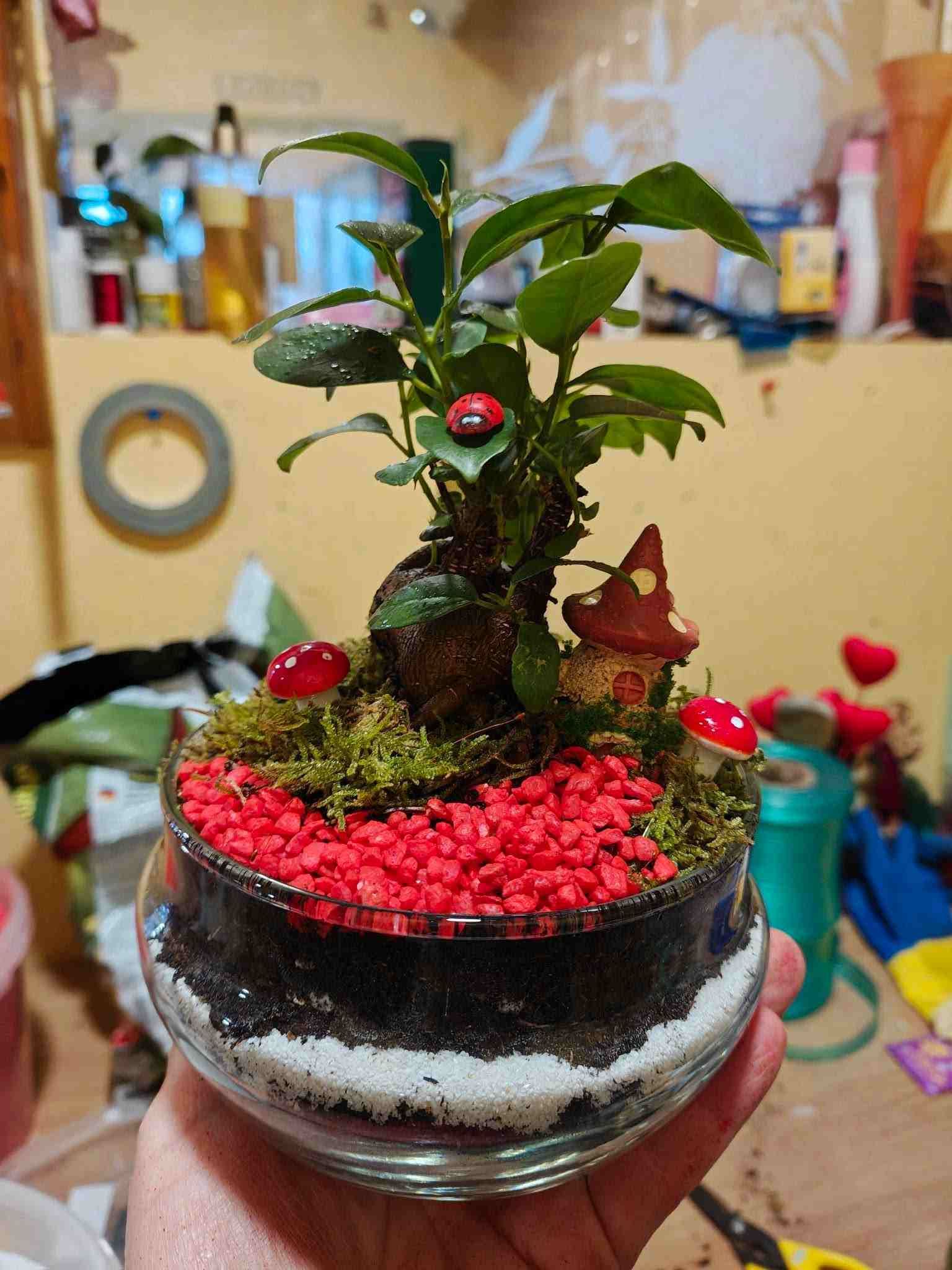 Bonsái pequeño en maceta con guijarros rojos en un cuenco de cristal, sostenido en una mano en el interior.