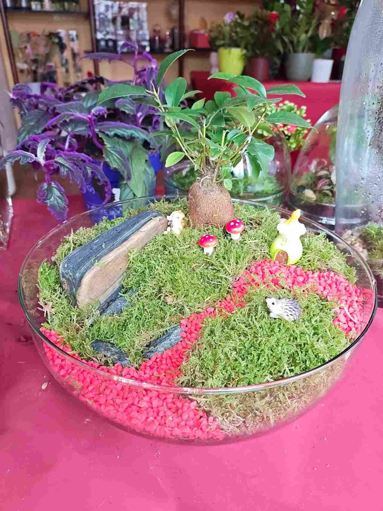 Jardín en miniatura dentro de un recipiente de vidrio, con plantas moradas y verdes sobre una mesa rosa.