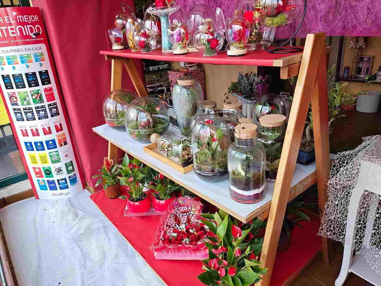 Pequeño expositor de regalos con tarros de cristal, adornos rosas y macetas con flores sobre estantes rojos.