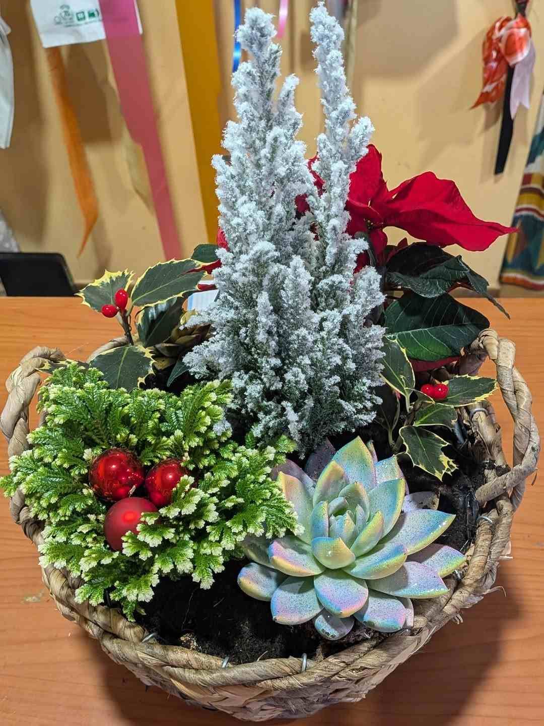 Arreglo de mesa navideño con mini árboles escarchados, flor de Pascua, suculenta y bayas rojas en una cesta tejida.