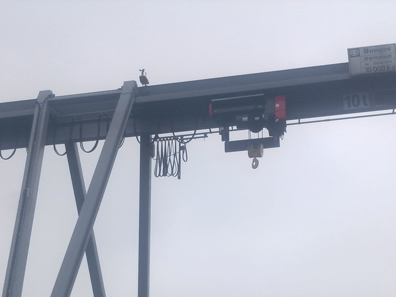 Dittrich Hebe- und Fördertechnik