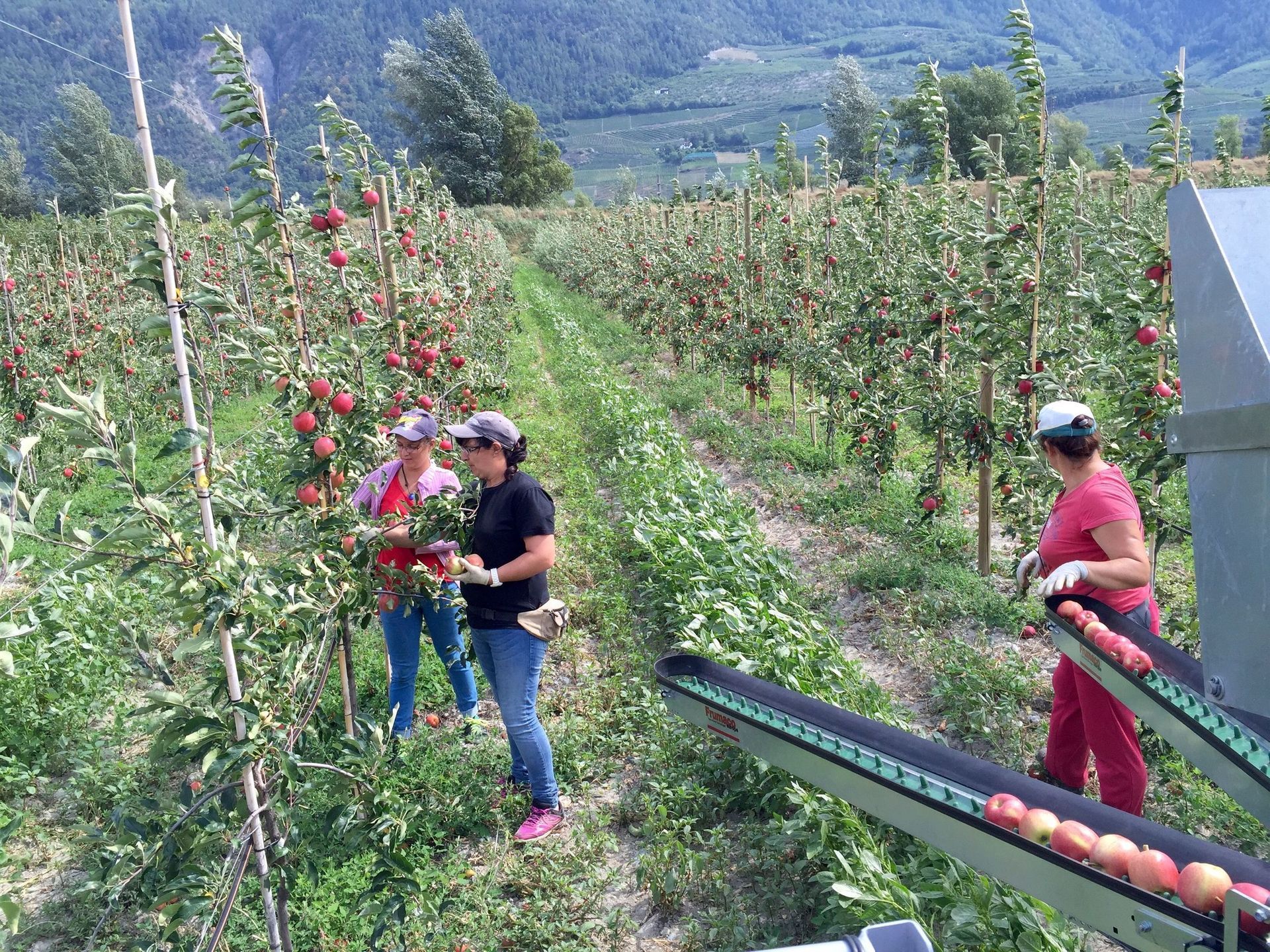 produits-des-fruits-defendus-saillon-valais
