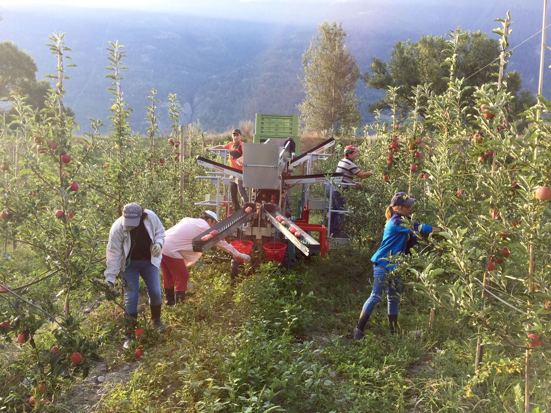 produits-des-fruits-defendus-saillon-valais