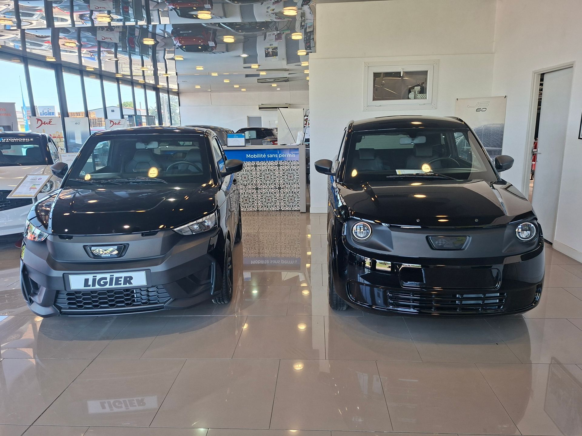 Deux voitures compactes exposées côte à côte dans un showroom lumineux.