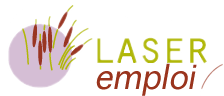 Logo Laser emploi