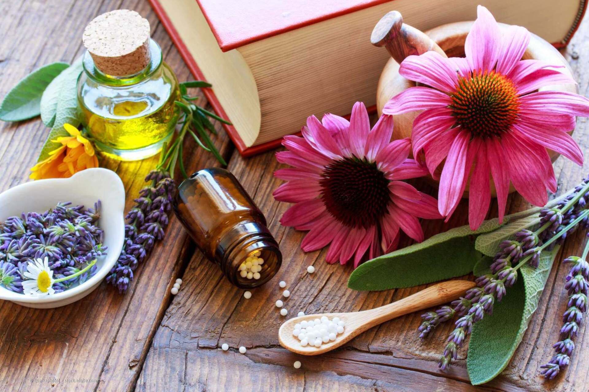 Verschiedene Salze, Pflanzen und Steine auf einem Baumstumpf