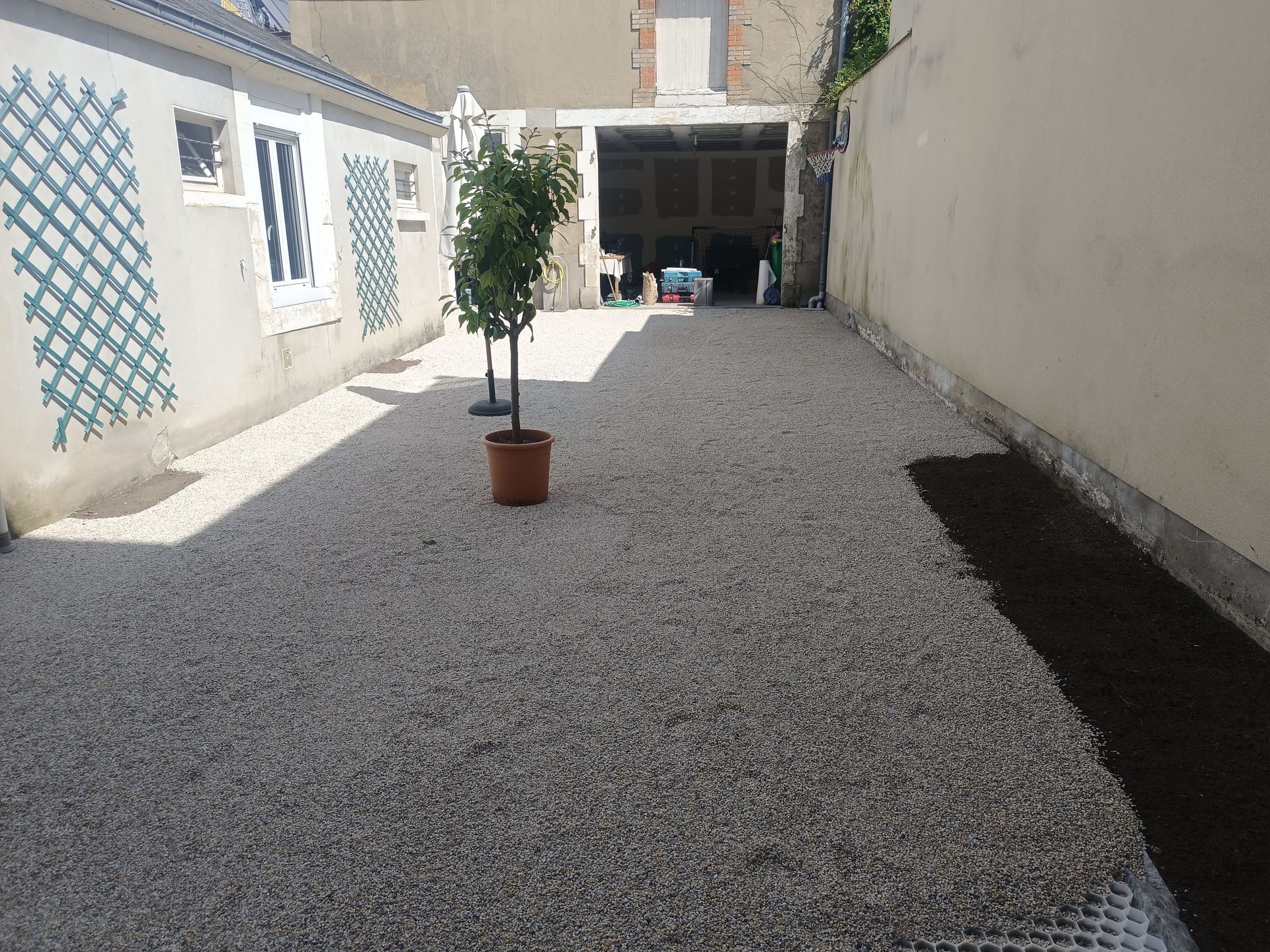 Cour en gravillon avec un arbuste au centre