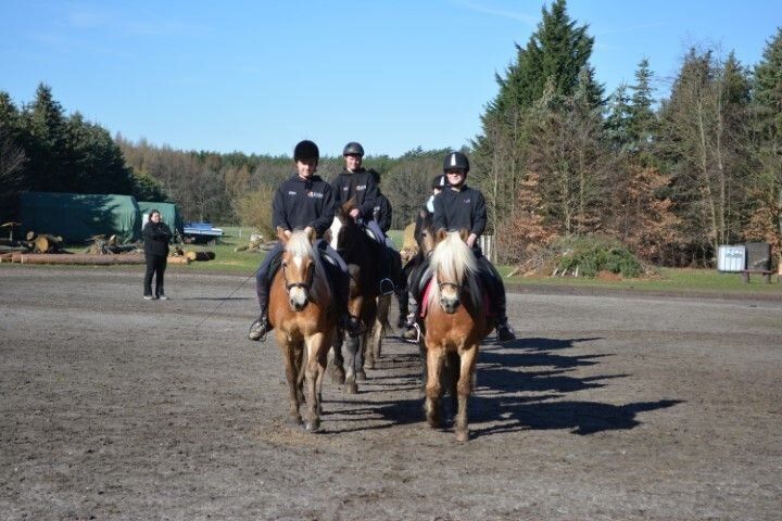 Mehrere Kinder auf Pferden