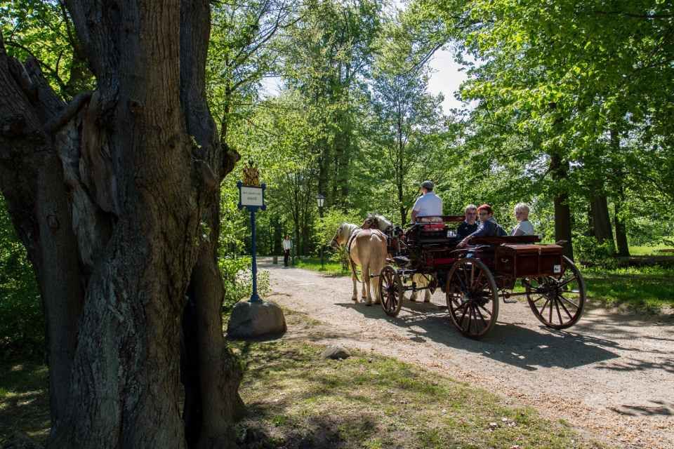 Mehrere Personen in einer Kutsche mit zwei Pferden im Wald