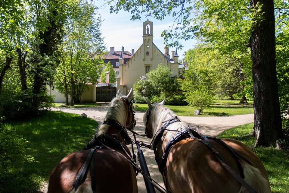 Zwei Pferde von der Kutsche aus fotografiert vor einem Gebäude
