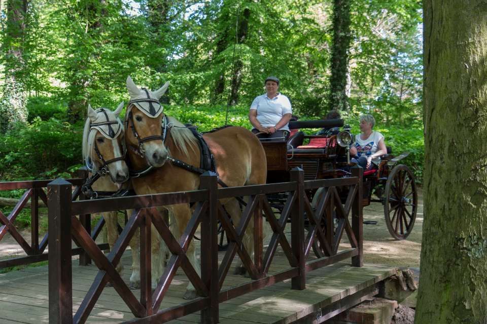Kutsche mit zwei hellbraunen Pferden und Kutschführer