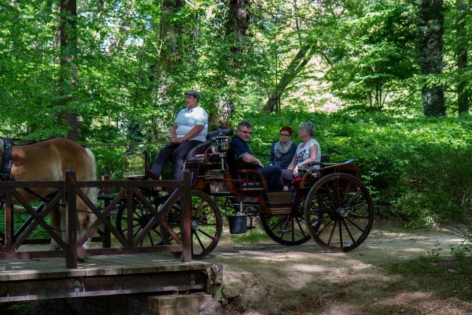 Kutsche mit Gästen und Kutschführer sowie zwei Pferden im Wald