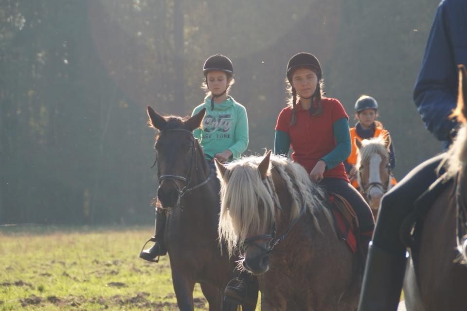 Mehrere Kinder mit Reiterhelmen reiten Pferde