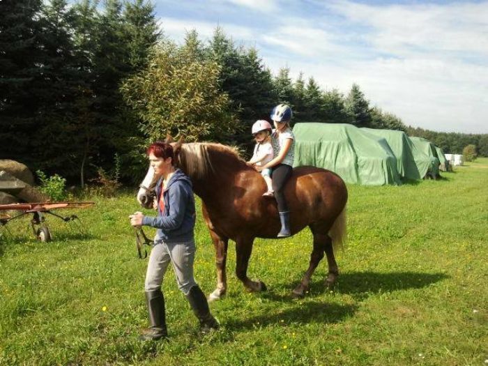 Frau führt Pferd, auf dem zwei Kinder reiten