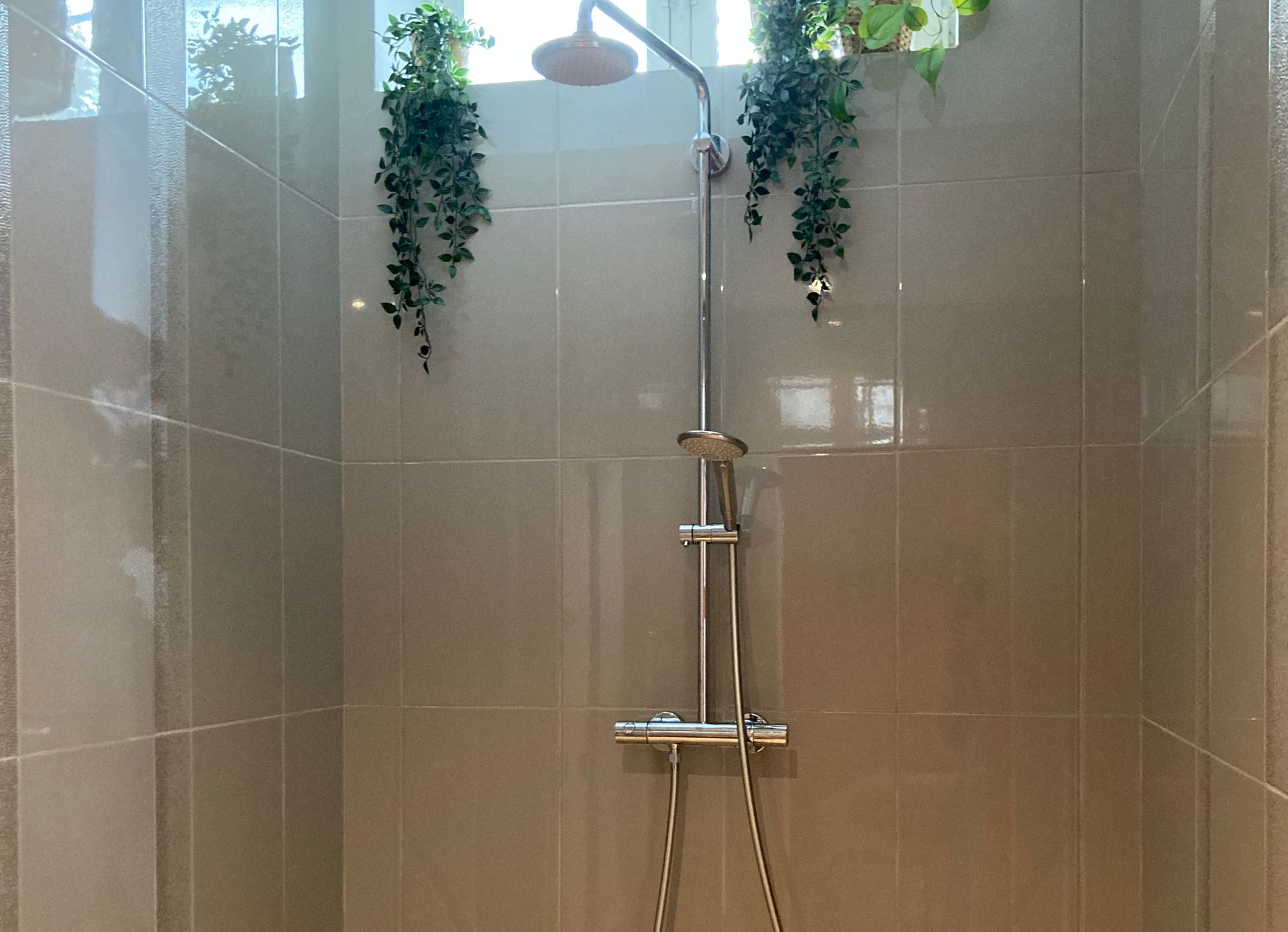Douche moderne carrelée avec paroi en verre, robinetterie chromée et plantes suspendues près du plafond.