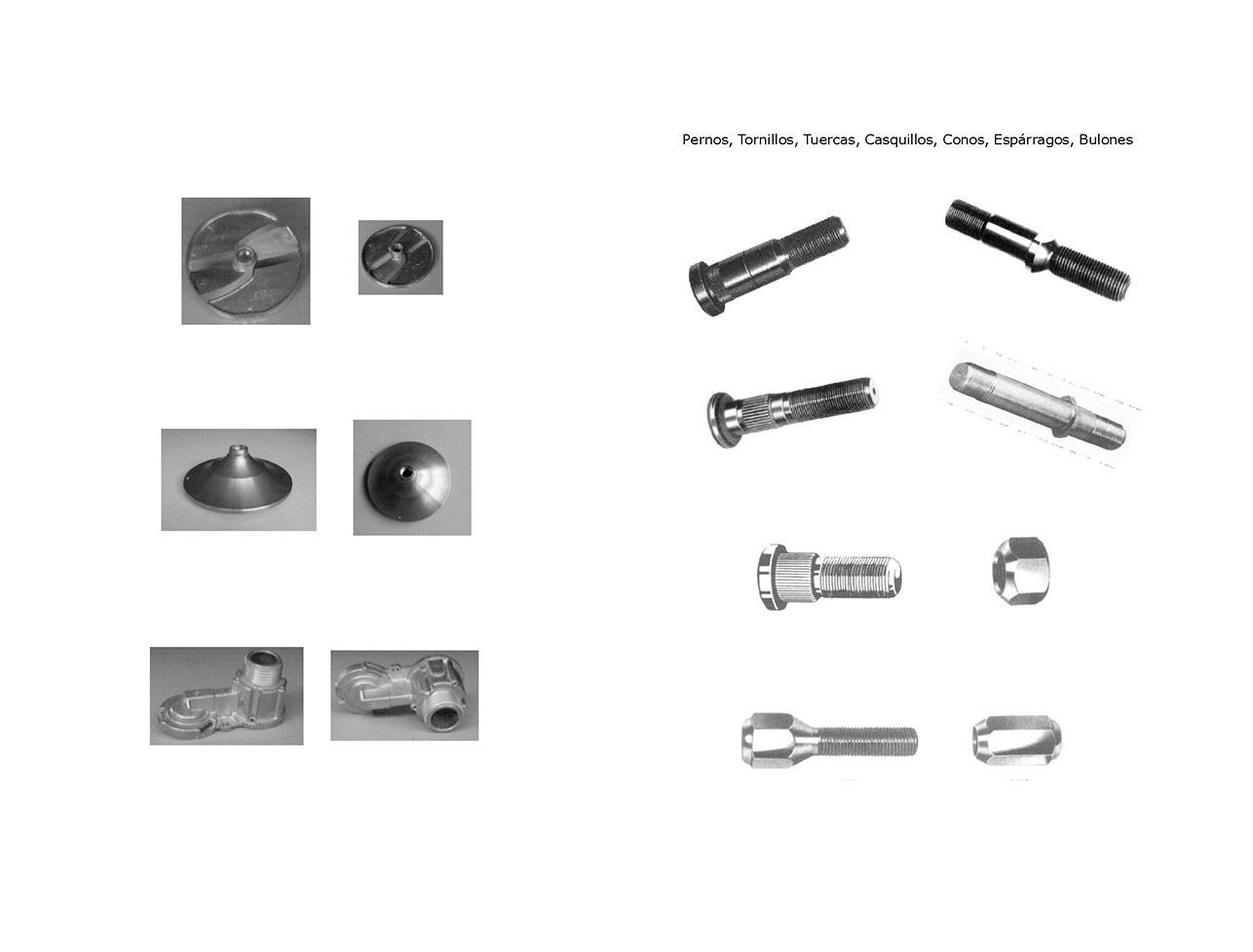 Un montón de diferentes tipos de tornillos y pernos sobre un fondo blanco.