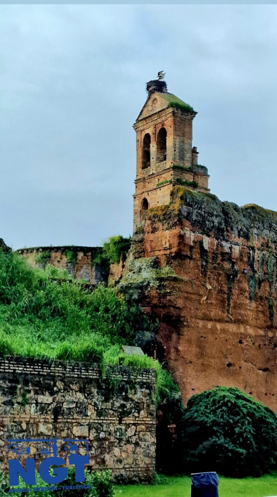 Antigua torre de piedra y muralla de un castillo cubiertas de vegetación bajo un cielo nublado