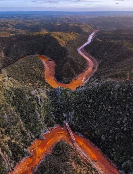 Vista aérea de un sinuoso río naranja que atraviesa un cañón cubierto de vegetación exuberante