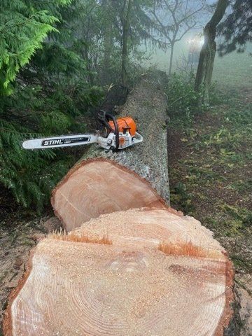 Tronçonnage d'arbre