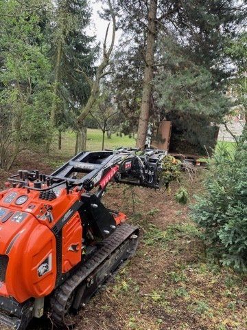 Engin pour abattre un arbre