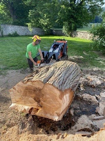Engin pour abattre un arbre