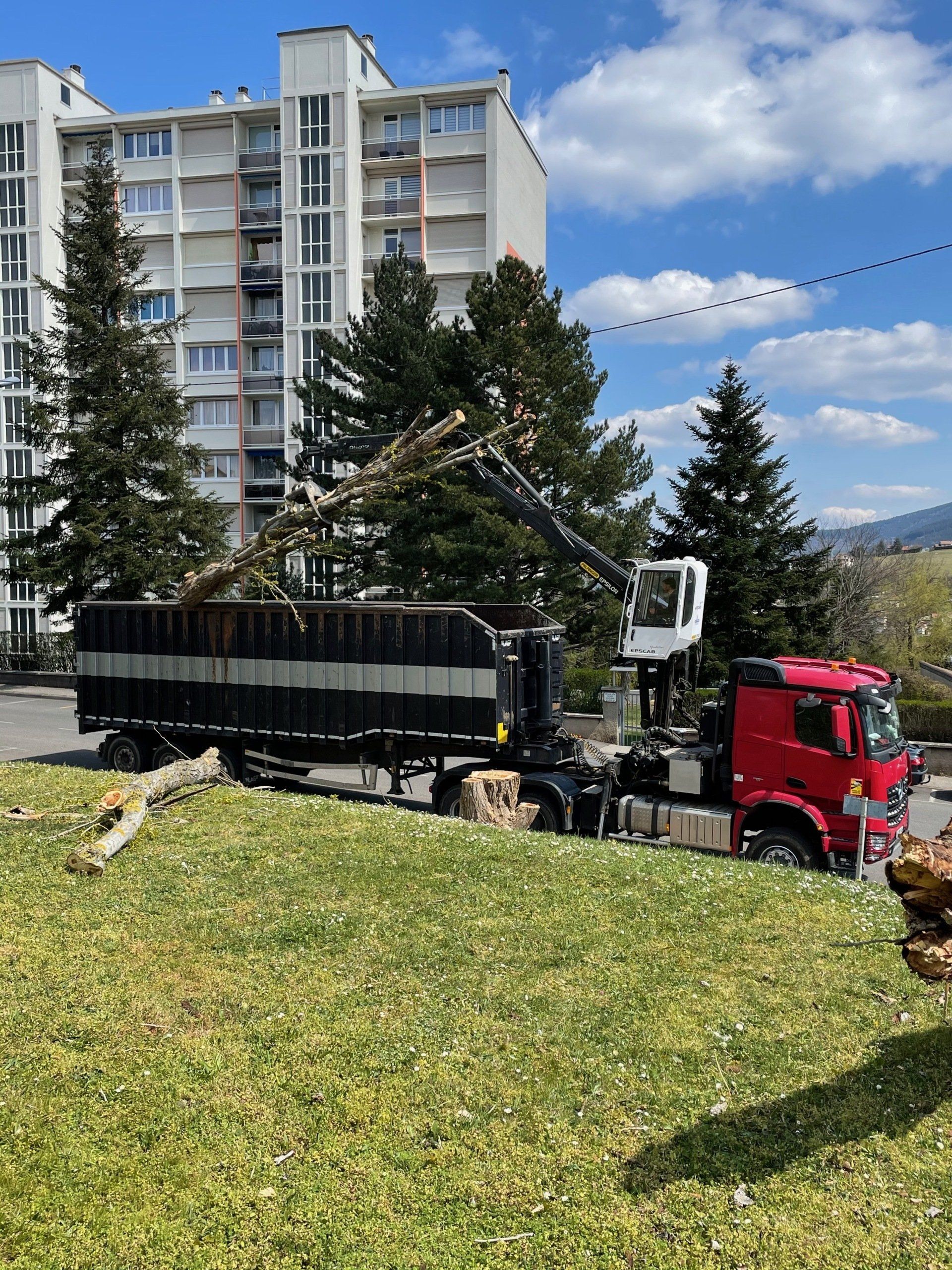 Camion chargé d'arbres
