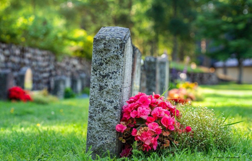 Grabsteine auf einem Friedhof mit leuchtend pinkfarbenen Blumen im Vordergrund und Grün im Hintergrund.