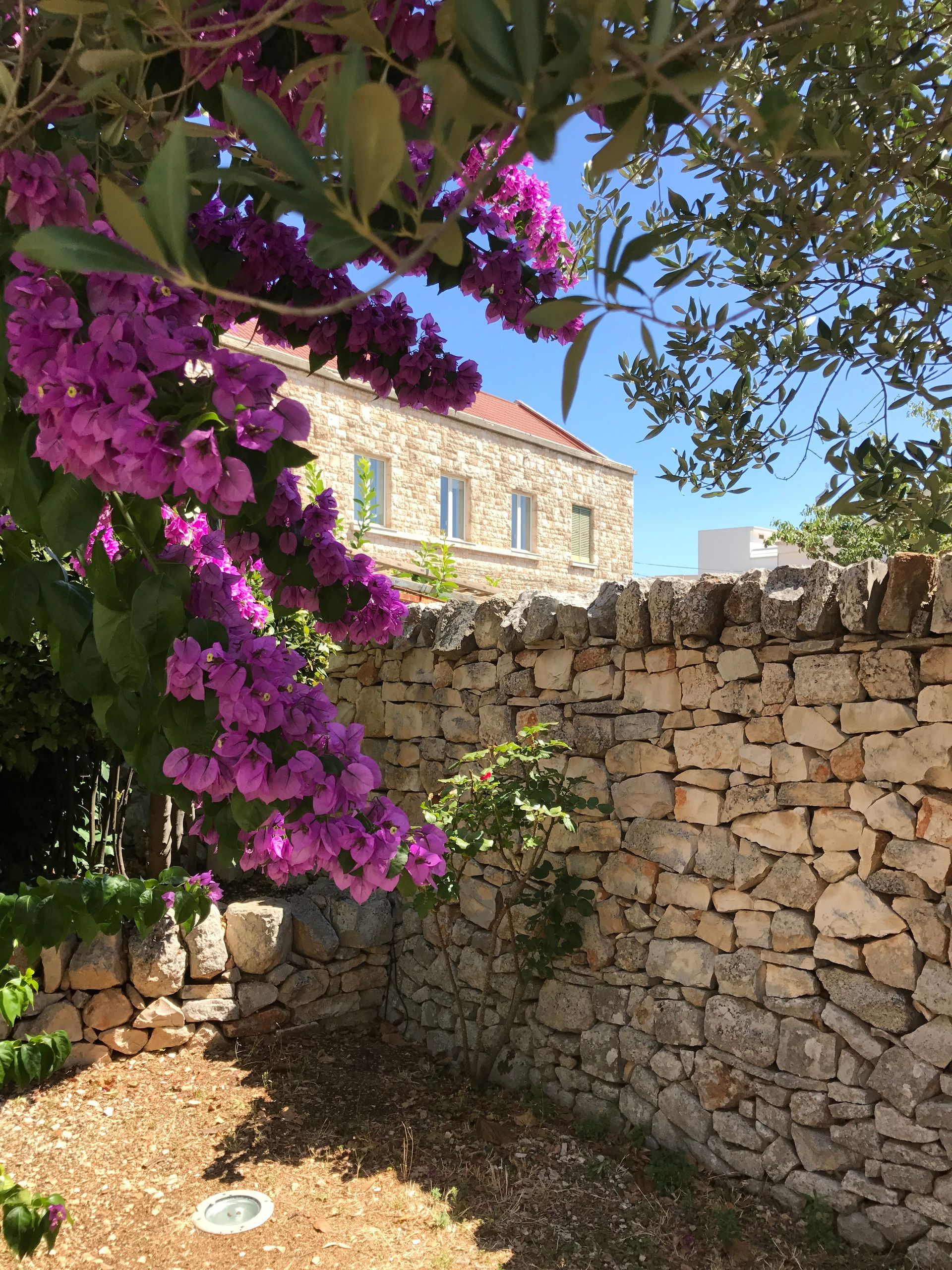 Mur en pierre dans le fond du terrain d'une maison individuelle