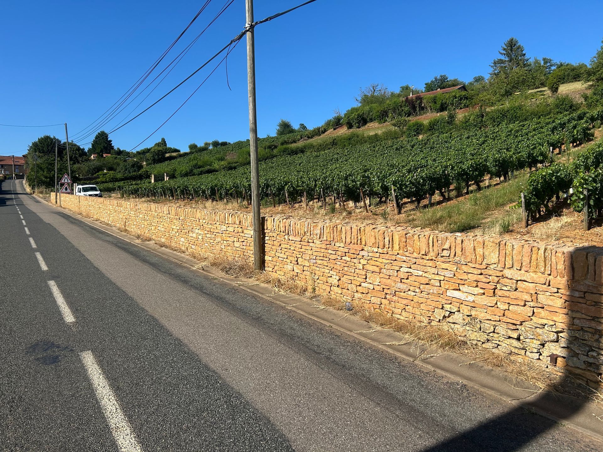 Gros plan sur un chemin carrossable en pierre