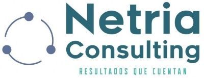 Un logotipo para Netria Consulting con un círculo y puntos.