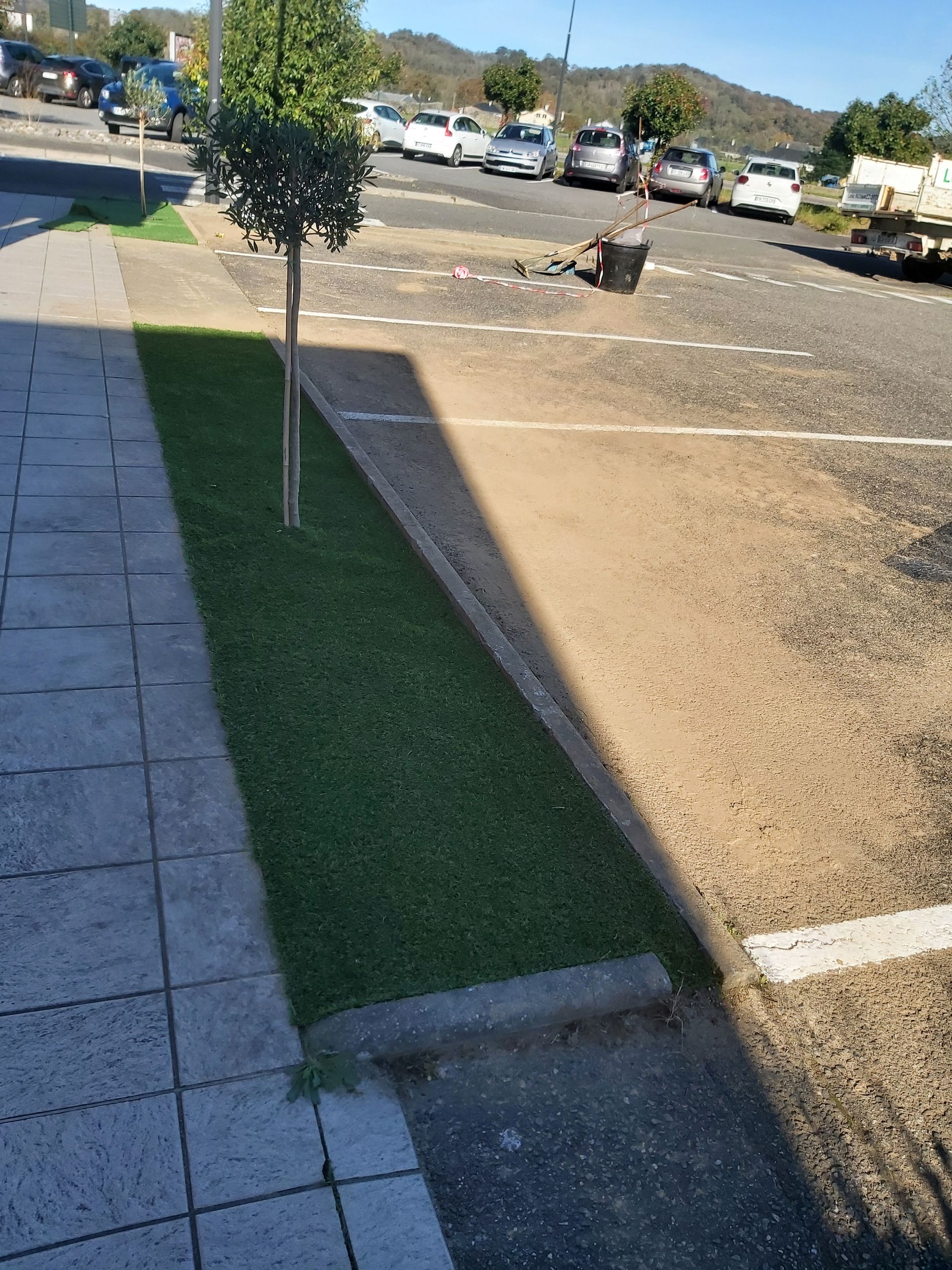 Étroite bande d'herbe verte et un petit arbre à côté d'un trottoir et d'un parking.