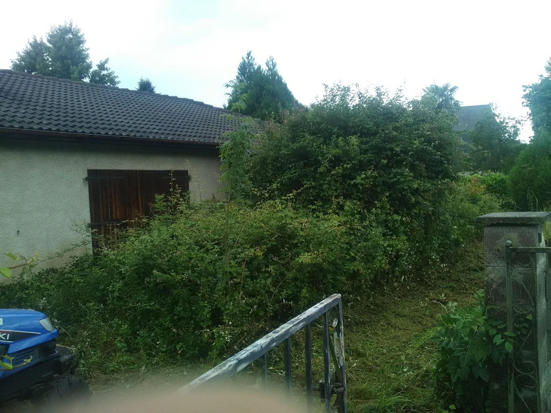 Garage avec des buissons envahissants dans la cour. Feuillage vert, portes marron et toit gris.