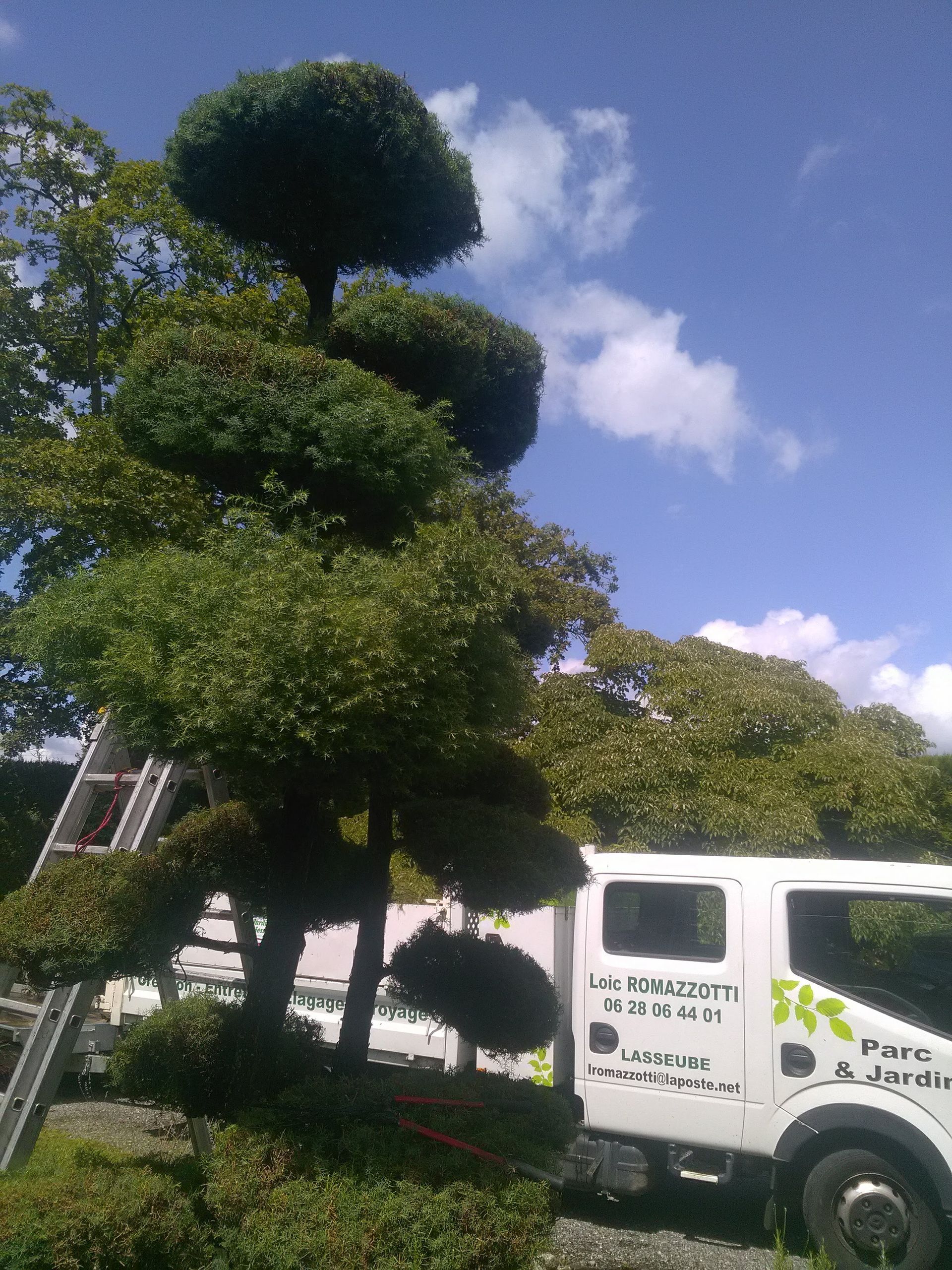 Arbre topiaire formé en gradins avec un camion de travail blanc et une échelle par une journée ensoleillée.