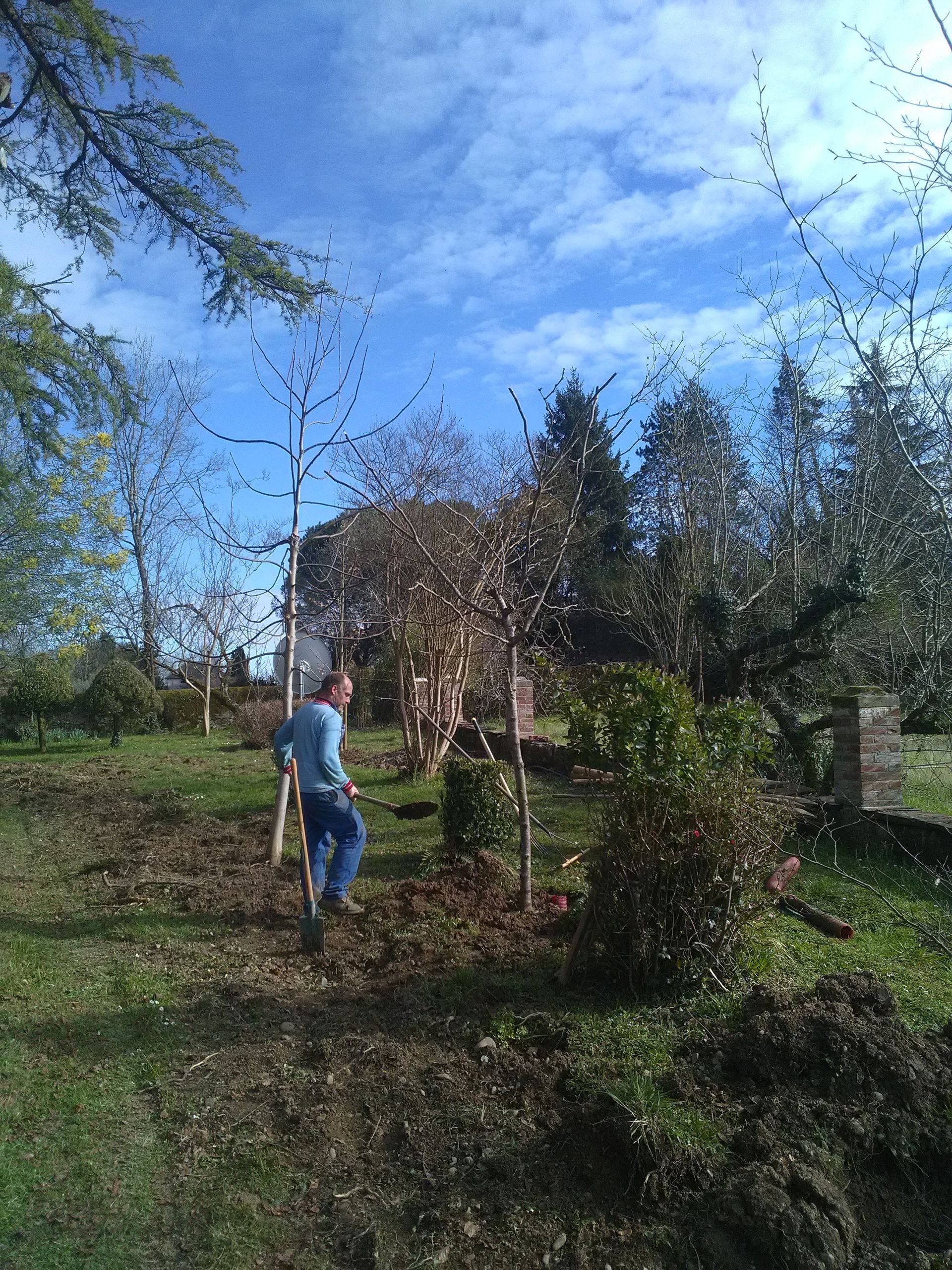 Un homme creuse dans un jardin sous un ciel bleu nuageux ; entouré d'arbres et d'autres plantes.