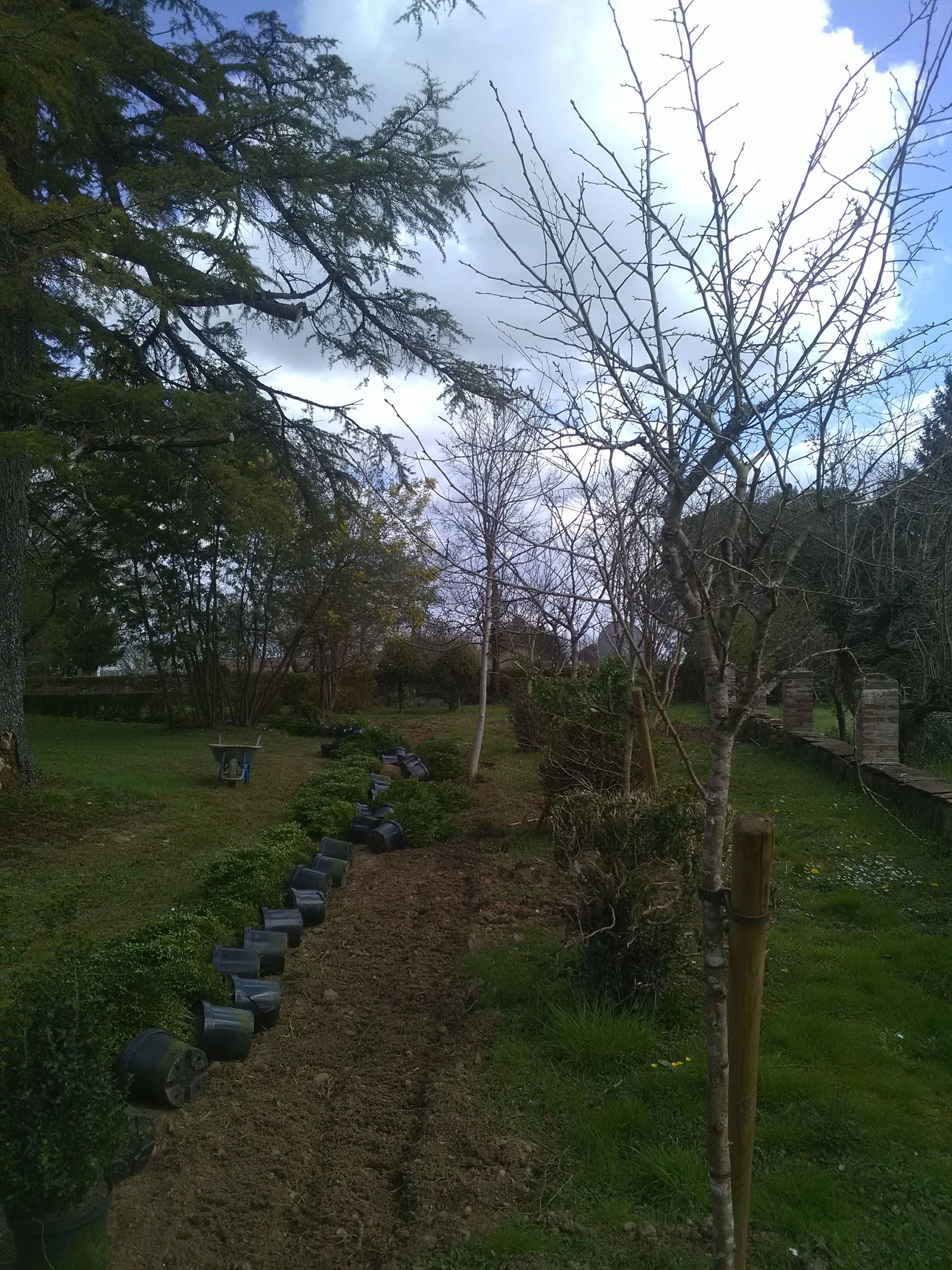 Cour verdoyante avec arbres et petit chemin pavé de pierres sombres. Ciel couvert.