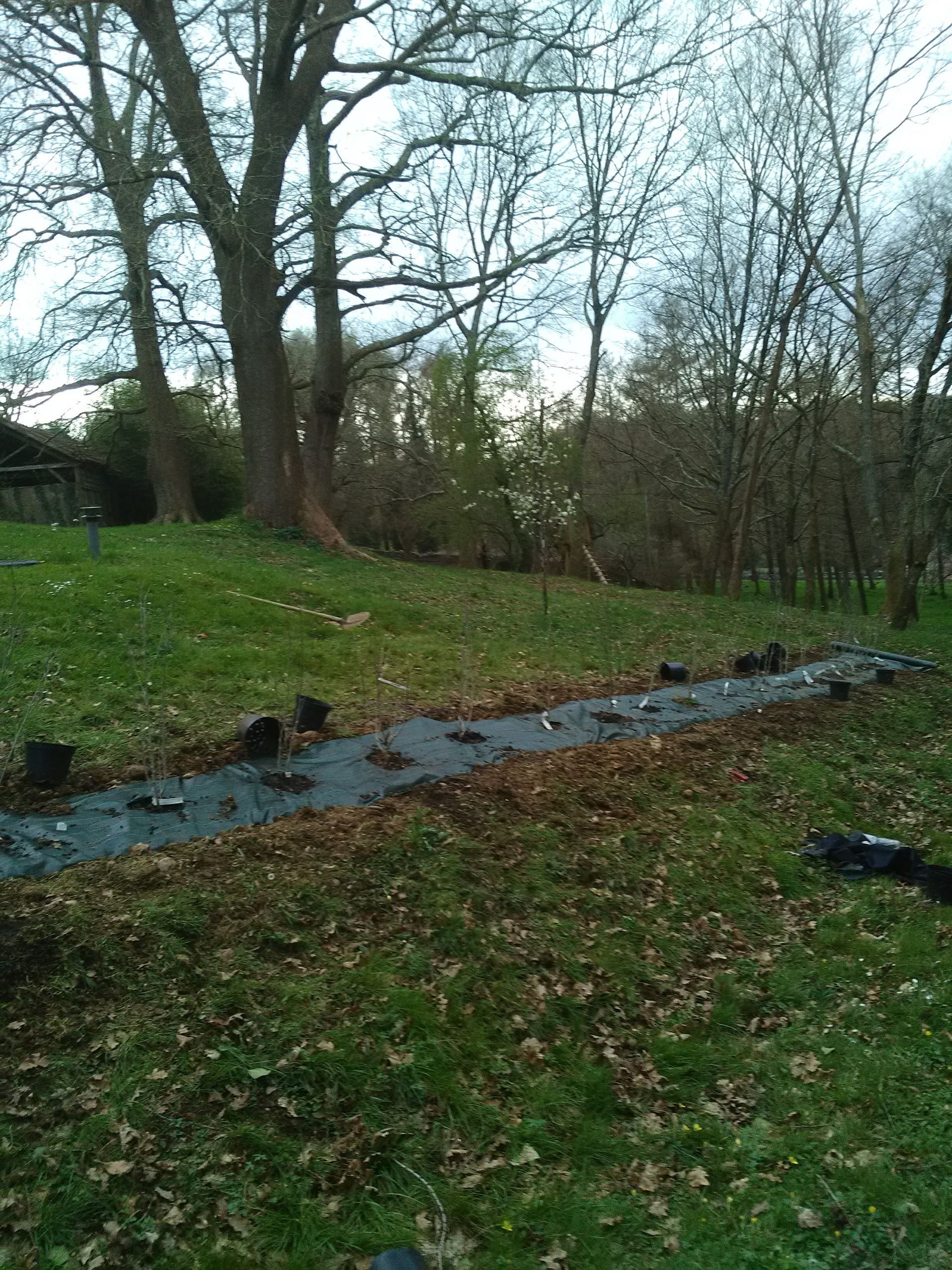 Un jardin paillé sur une colline herbeuse, avec des pots de fleurs sombres à l'intérieur. Des arbres en arrière-plan.