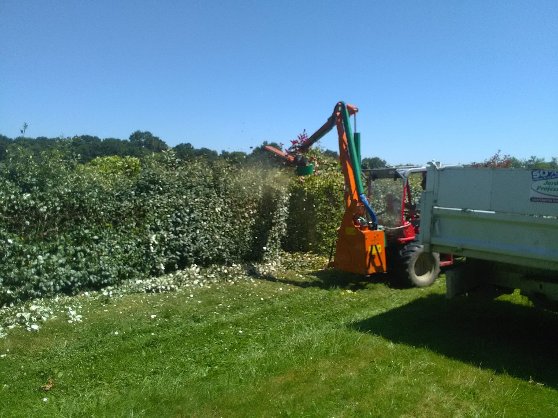 Un taille-haie sur un tracteur taille une haie et envoie les débris dans une remorque.