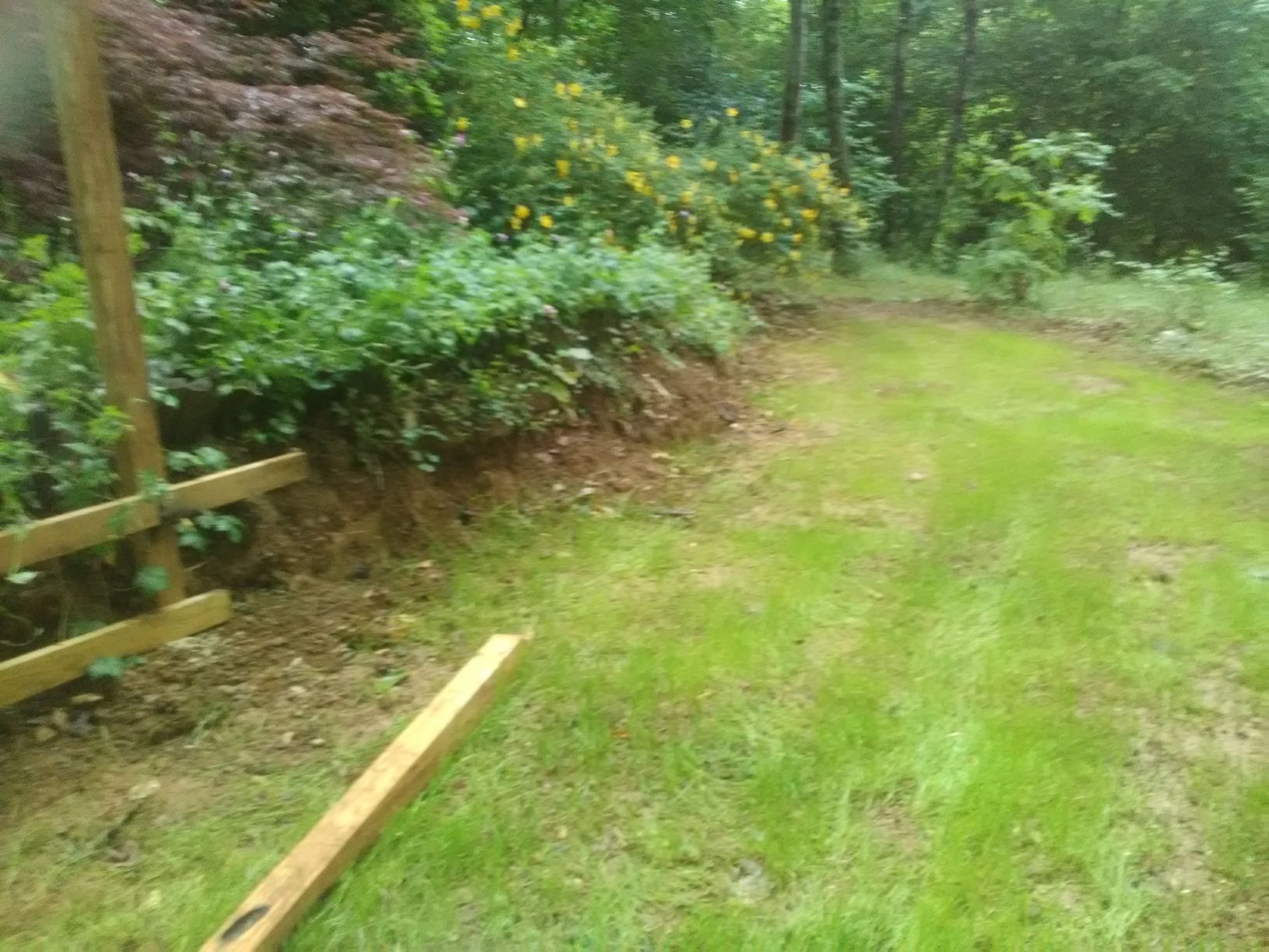 Cour herbeuse à côté d'un talus de terre avec verdure et une clôture partielle en bois.