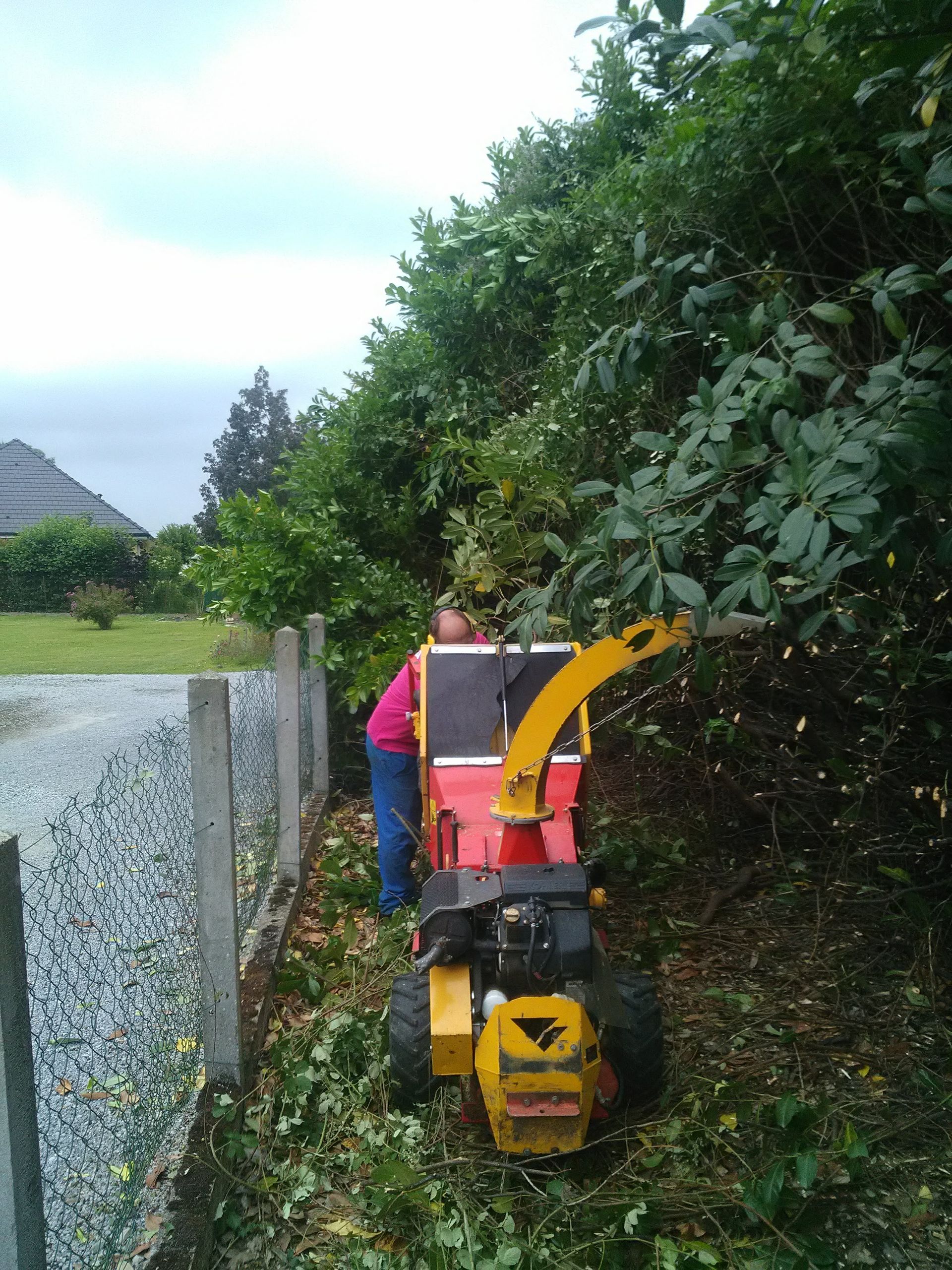 Personne utilisant un broyeur à bois jaune pour tailler une haie à côté d'une allée de gravier et d'une clôture.