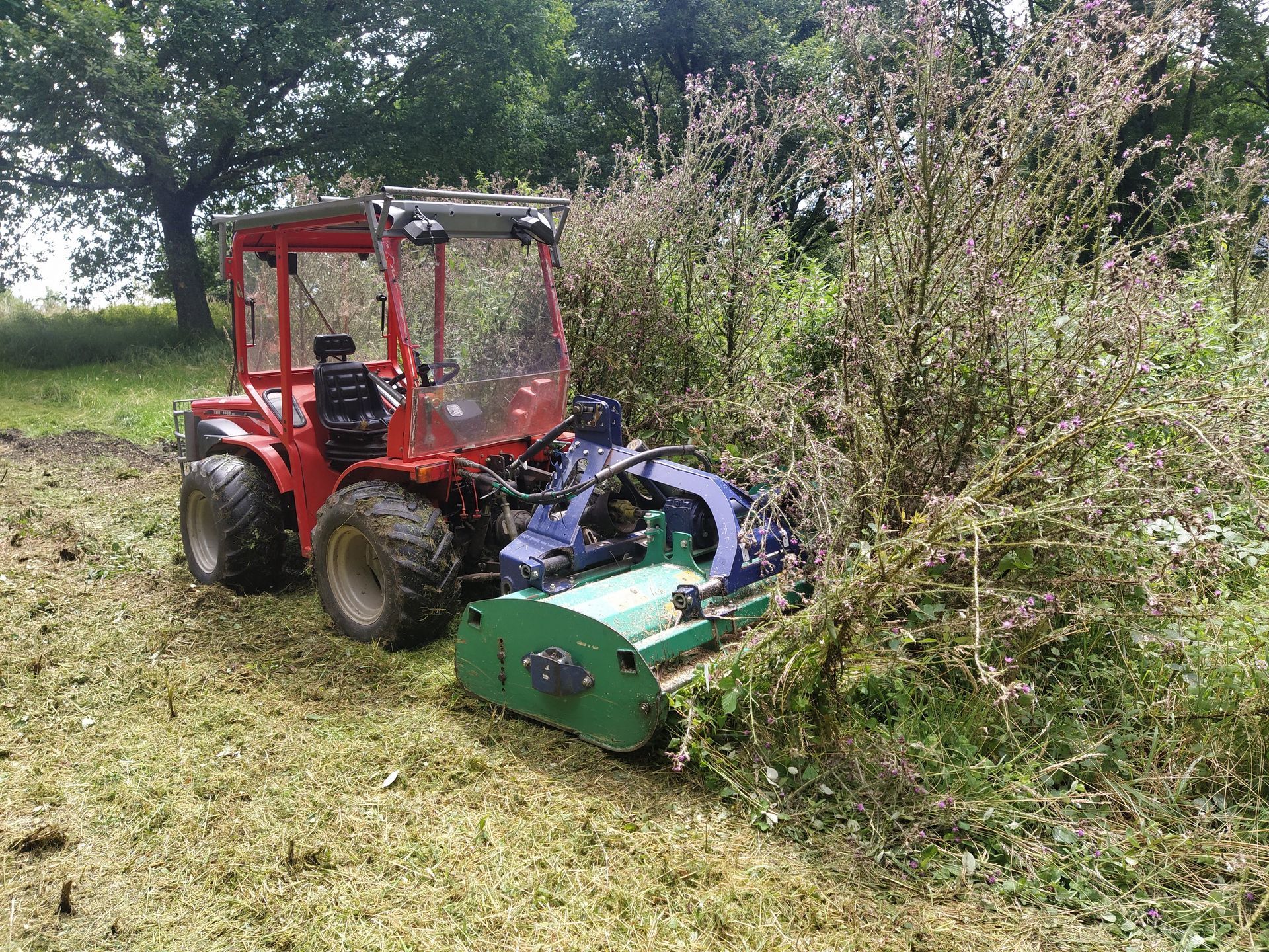 Tracteur rouge avec tondeuse coupant des broussailles dans un champ.