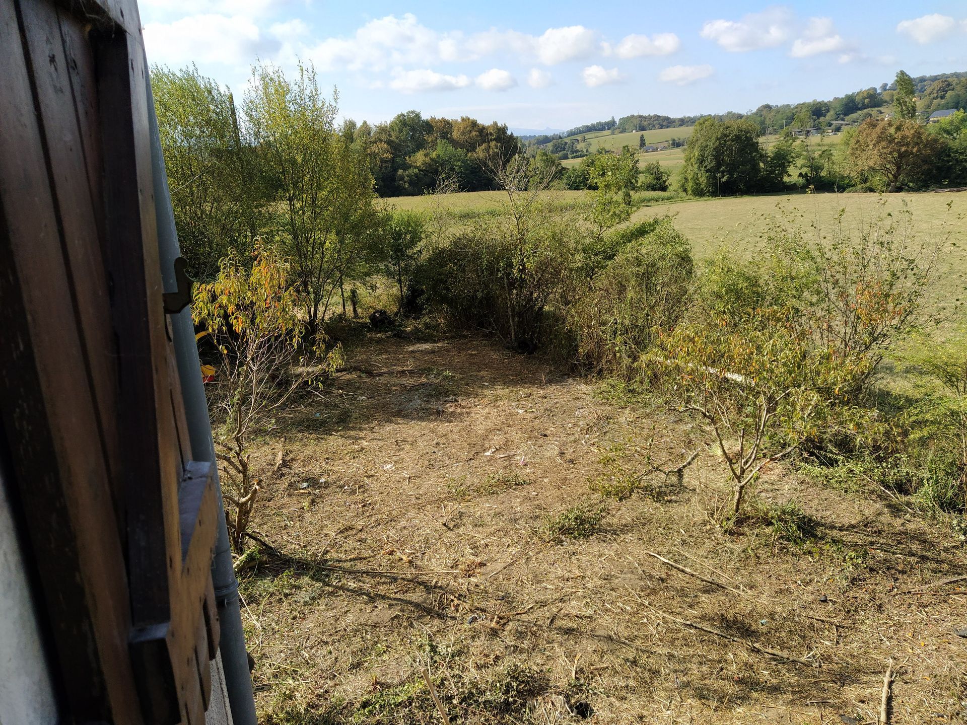 Un champ avec des arbres et un ciel bleu visible depuis une ouverture à côté d'un mur en bois.