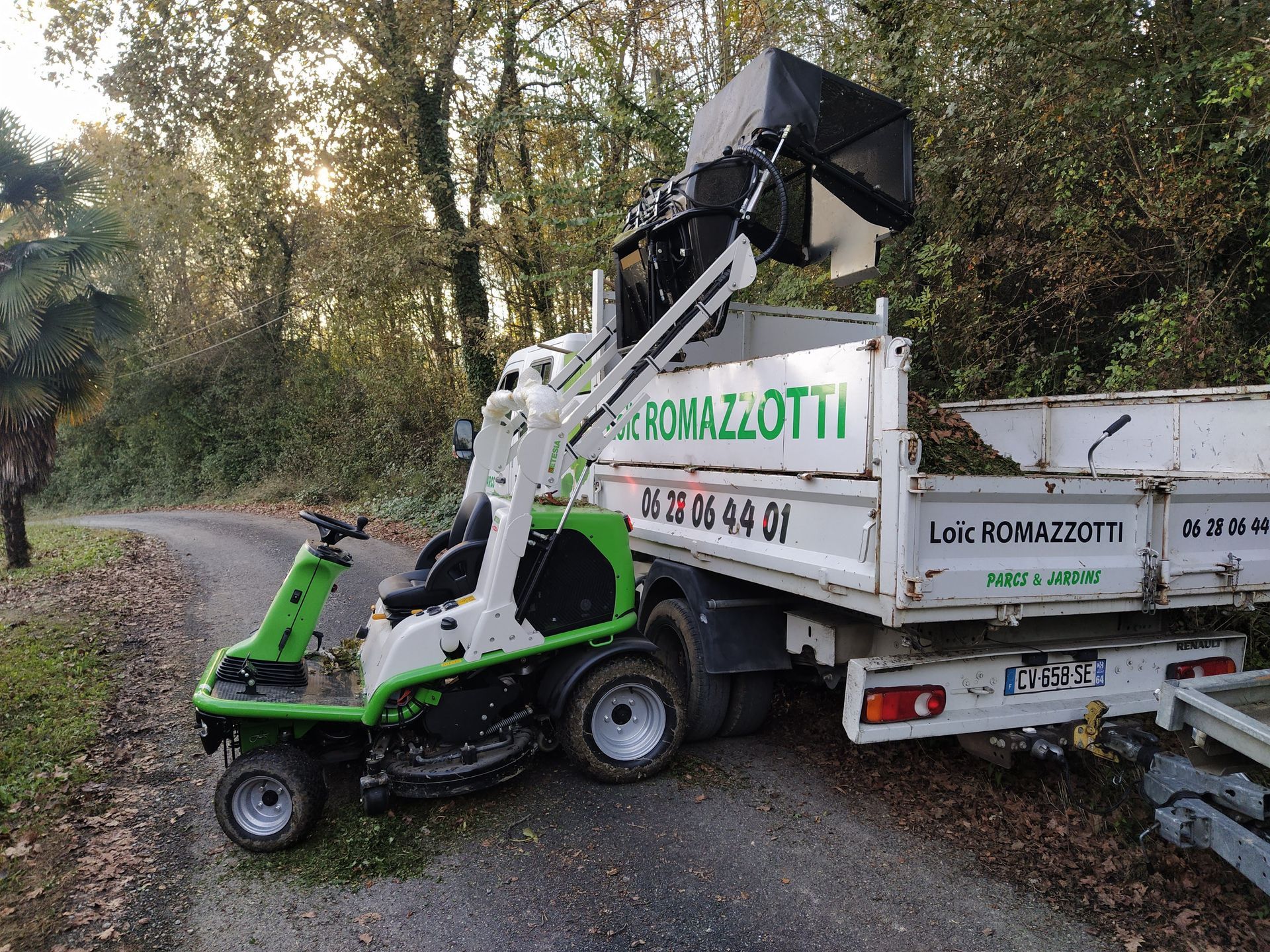 Mini-chargeuse verte et blanche vidant des débris dans un camion blanc sur une route pavée avec des arbres.